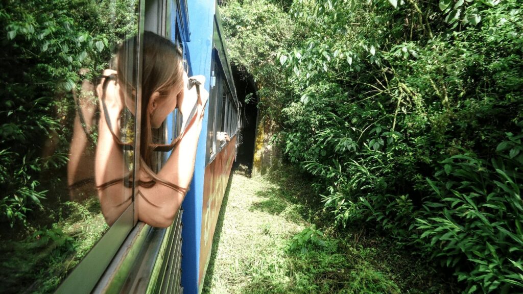 Manzaralı tren yolculuğu