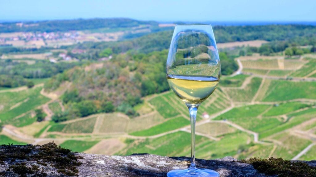 Exploring the wine regions of italy and france