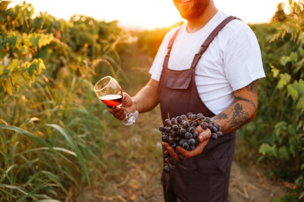 Şarap bölgelerini keşfetmek piedmont ve burgundy