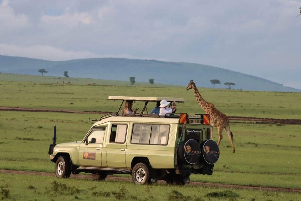 Wildlife safaris in africa