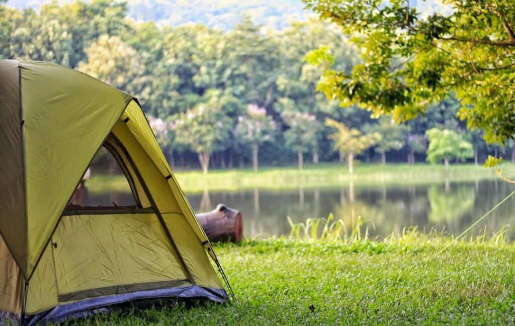 Camping and accommodation inside parks