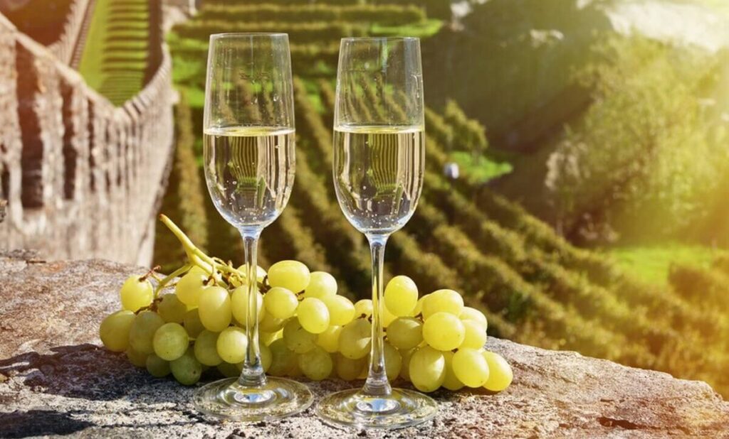 Şarap tadım turları