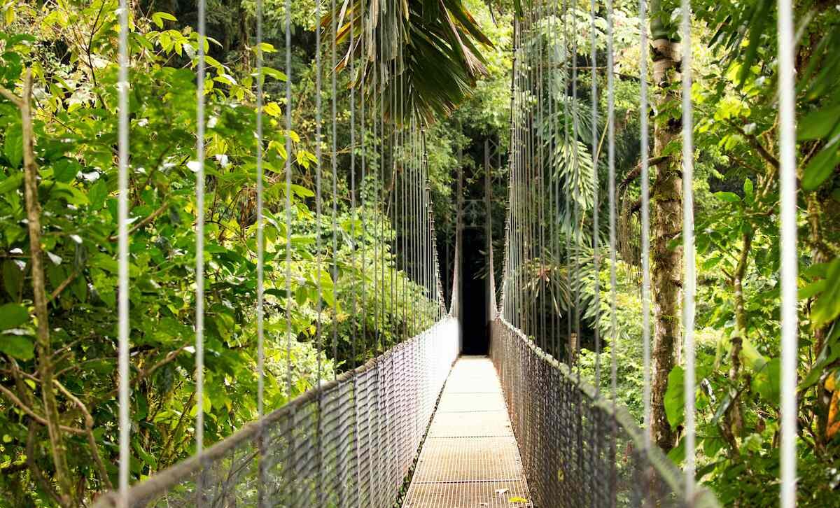 Costa rica rainforests