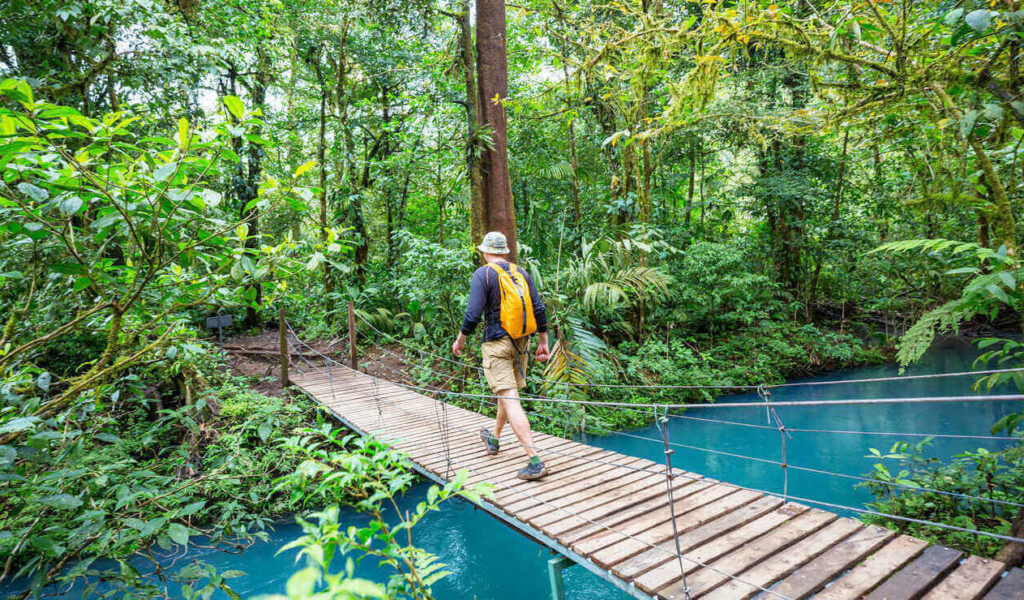 Kosta rika yağmur ormanları ve ekosistemleri