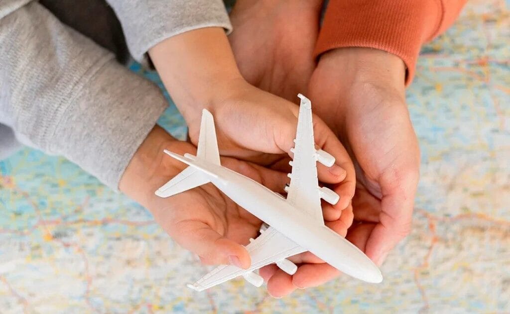 What travel risk management means